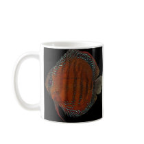 Cuipeua discus mugs