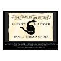 Culpeper Minutemen Flag posters