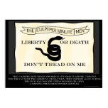 Culpeper Minutemen Flag Poster