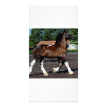 culpeper,VA 098 Personalized Photo Card