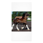 culpeper,VA 098 Personalized Photo Card