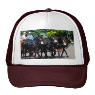 culpeper va draft horse/mule show trucker hat