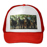 culpeper va draft horse show trucker hat