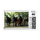 postcard - 4 mules at the culpeper va draft horse show postcard - 4 mules at the culpeper va draft horse show