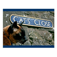 Culross Cat Postcards
