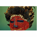 Cult mask, Zaire, Africa Photo Sculpture