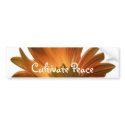 Cultivate Peace bumper stickers