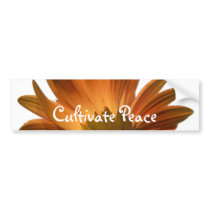 Cultivate Peace bumper stickers