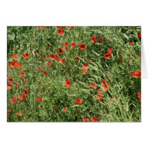 Culvert Greeting Card