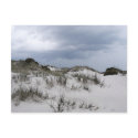 Cumberland Island dunes postcards