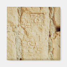 Cuneiform script on a palace wall fridge magnet