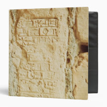Cuneiform script on a palace wall vinyl binders