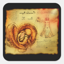 CUNNICULUS SAPIEN STICKER