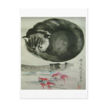 cunning cat postcards