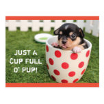 Cup Full O' Pup Chihuahua Postcard