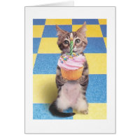 cupcake cat birthday card