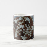 Cupcake Mug