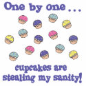 Cupcakes Stealing my Sanity photo sculptures