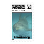 Cupid at TMMSN Postage Stamps