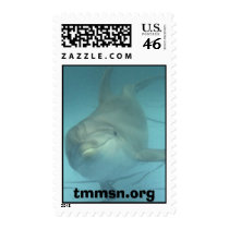 Cupid at TMMSN postage