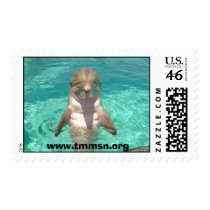 Cupid! stamps