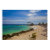 curacao, beach, palm, sand, surf, swim, hut,
