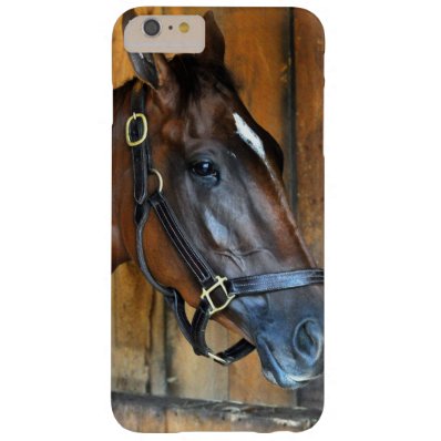 Curalina Barely There iPhone 6 Plus Case