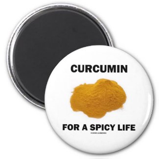 Curcumin For A Spicy Life Magnets