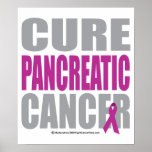 Cure Pancreatic Cancer Poster