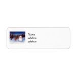 Curiosity Avery Return Address Labels