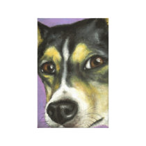 Curiosity Gallery Wrap Canvas