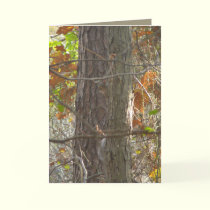 Curiosity cards by MoiraAshleigh Curiosity cards