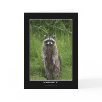 "CURIOSITY" Coon Note & Greeting-cards by RavenSpiritPrints "CURIOSITY" Coon Note & Greeting-cards