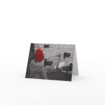 Curiosity Notecards