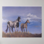Curiosity On The Prairie Poster