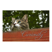 Curiosity posters