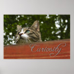 Curiosity posters