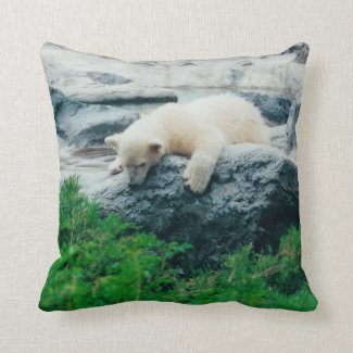 Curious baby polar bear pillow