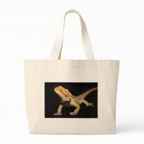 Curious Bearded Dragon 3 Tote Bags