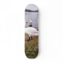 Curious Bird White Swan Skateboard Deck