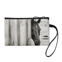 Curious Black Horse Coin Wallet