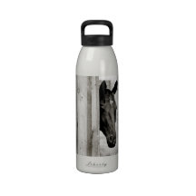 Curious Black Horse Drinking Bottles