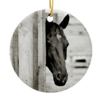 Curious Black Horse Ornaments