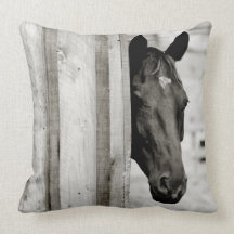 Curious Black Horse Pillow