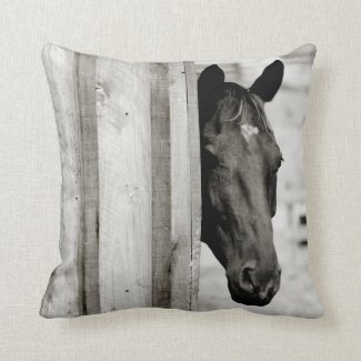 Curious Black Horse Pillow