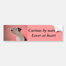 Curious by nature Lover at heart Bumper Stickers