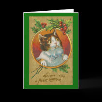 Curious Cat Christmas Card