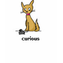 Curious Cat shirt