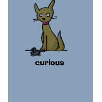 Curious Cat t-shirts