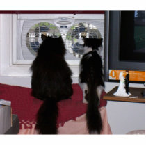 Curious Cats photo sculptures
